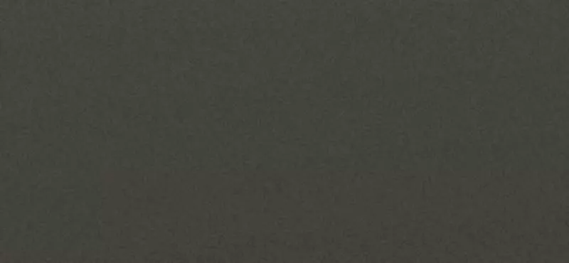 Фиброцементный сайдинг CEDRAL Smooth C04 Ночной лес купить в краснодаре