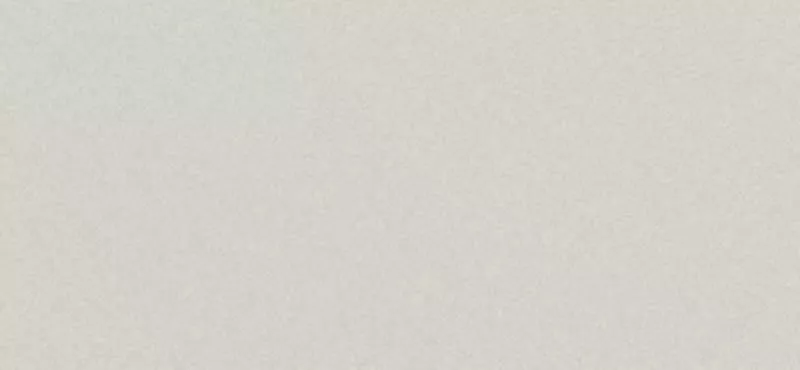 Фиброцементный сайдинг CEDRAL Smooth C07 Зимний лес купить в краснодаре