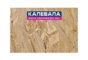 Плита OSB-3 Калевала ЭкоДом Е0,5 1250*2500*9мм – Купить оптом и в розницу
