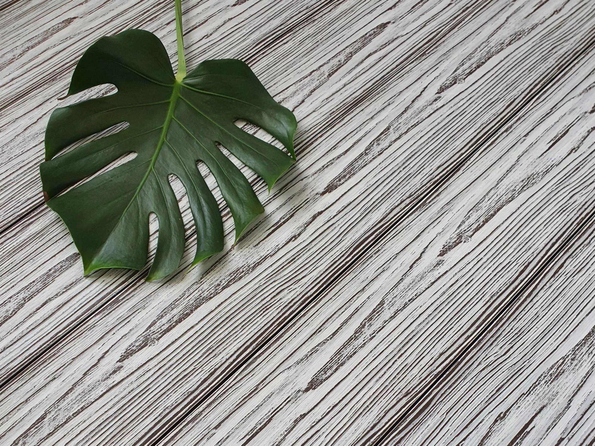 Доска террасная ТЕРРАпол АНТИК Мультиколор Троя 147х23х3000мм купить в краснодаре