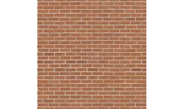 Планка снегозадержателя 95х65х2000 (ECOSTEEL-01-Кирпич-0.5). Цена: 1058 руб. Артикул: 43536