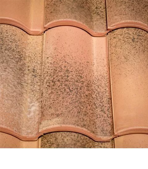 Керамическая черепица La Escandella Selectum, Provence klinker купить в краснодаре