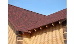 Вид издалека листы ондувилла