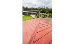 Кликфальц Grand Line 0,5 Satin Matt с пленкой на замках RAL 3005 красное вино купить в краснодаре