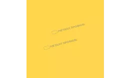 Штакетник металлический МЕТАЛЛ ПРОФИЛЬ ELLIPSE-O 19х126 (ПЭ-01-1018-0.45) купить в краснодаре