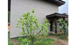 FCS Фиброцементный сайдинг Wood 190х3000х8мм 0.57м2 F03 купить в краснодаре