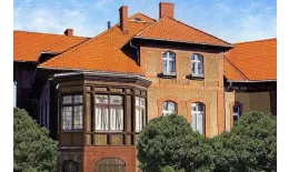 Цементно-песчаная минеральная черепица Braas Ревива красная купить в краснодаре