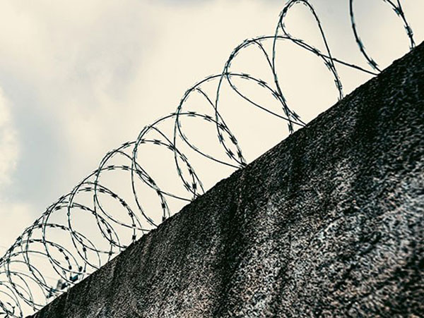 Колючая проволока купить